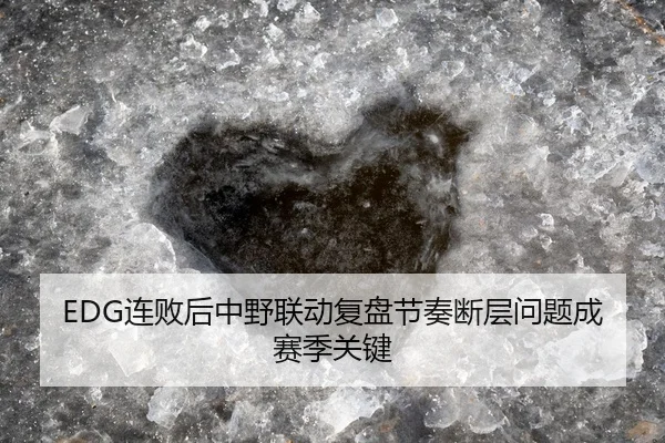 EDG连败后中野联动复盘节奏断层问题成赛季关键